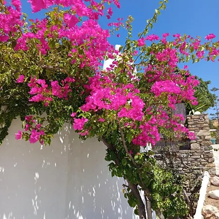 Casa Apart-hotel *